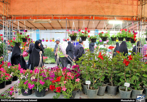 گزارش تصویری | چهاردهمین نمایشگاه بین المللی گل و گیاه، ابزار و ادوات باغبانی مشهد | عکاس : محمد حسن صلواتی