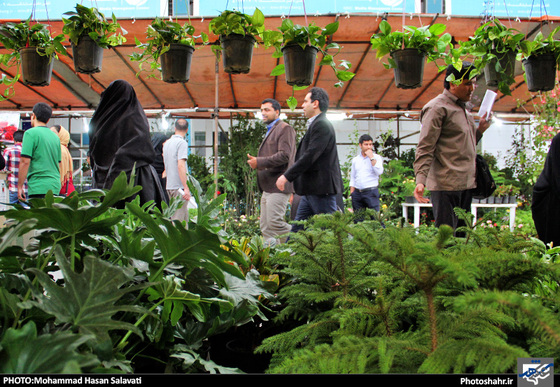 گزارش تصویری | چهاردهمین نمایشگاه بین المللی گل و گیاه، ابزار و ادوات باغبانی مشهد | عکاس : محمد حسن صلواتی