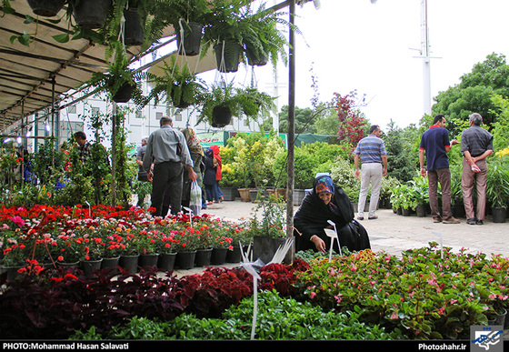 گزارش تصویری | چهاردهمین نمایشگاه بین المللی گل و گیاه، ابزار و ادوات باغبانی مشهد | عکاس : محمد حسن صلواتی