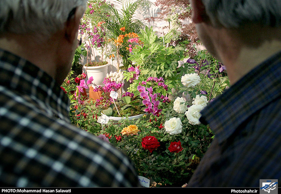 گزارش تصویری | چهاردهمین نمایشگاه بین المللی گل و گیاه، ابزار و ادوات باغبانی مشهد | عکاس : محمد حسن صلواتی