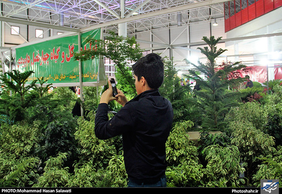 گزارش تصویری | چهاردهمین نمایشگاه بین المللی گل و گیاه، ابزار و ادوات باغبانی مشهد | عکاس : محمد حسن صلواتی
