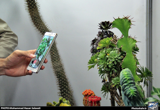 گزارش تصویری | چهاردهمین نمایشگاه بین المللی گل و گیاه، ابزار و ادوات باغبانی مشهد | عکاس : محمد حسن صلواتی