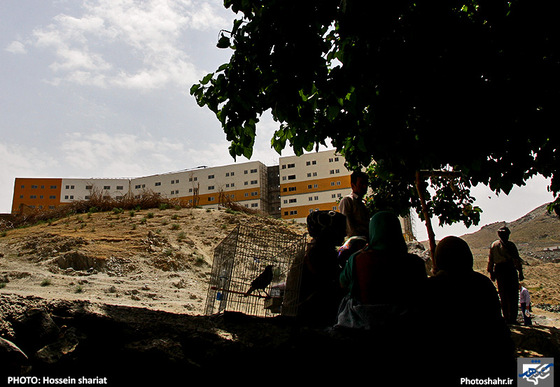 گزارش تصویری | آخرین وضعیت ساخت و سازهای غیر متعارف در ارتفاعات جنوبی مشهد | عکس : حسین شریعت | شهرآرا