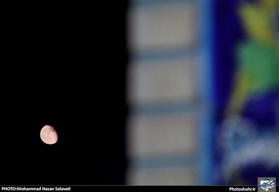 گزارش تصویری |  مراسم احیای شب نوزدهم ماه رمضان در حرم رضوی | عکس محمد حسن صلواتی/شهرآرا