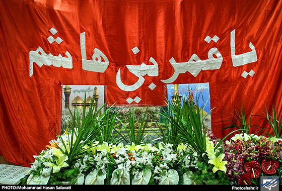 گزارش تصویری / حرم رضوی در شب میلاد امام رضا (ع) / عکس : محمد حسن صلواتی / شهرآرا