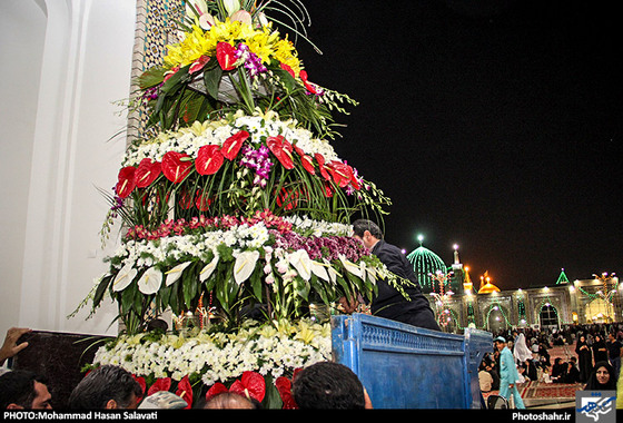 گزارش تصویری / حرم رضوی در شب میلاد امام رضا (ع) / عکس : محمد حسن صلواتی / شهرآرا