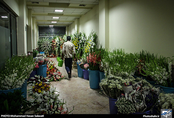 گزارش تصویری / حرم رضوی در شب میلاد امام رضا (ع) / عکس : محمد حسن صلواتی / شهرآرا