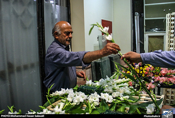 گزارش تصویری / حرم رضوی در شب میلاد امام رضا (ع) / عکس : محمد حسن صلواتی / شهرآرا