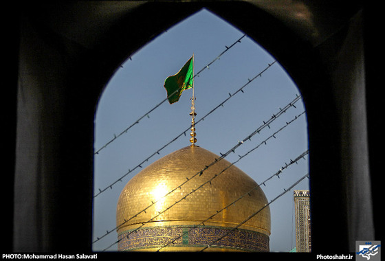 گزارش تصویری / حرم رضوی در شب میلاد امام رضا (ع) / عکس : محمد حسن صلواتی / شهرآرا