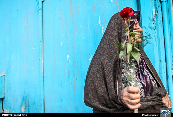 گزارش تصویری/  گلباران حرم رضوی در روز میلاد امام هشتم | عکس : سعید گلی / شهرآرا