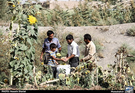 گزارش تصویری | تخریب ساخت و سازها غیرمجاز اطراف کشف رود | عکس : حسین شریعت /شهرآرا