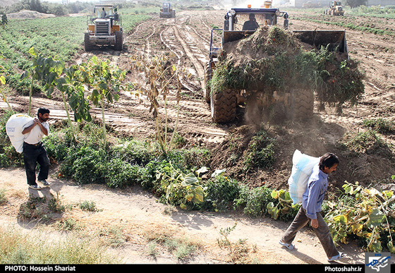 گزارش تصویری | تخریب ساخت و سازها غیرمجاز اطراف کشف رود | عکس : حسین شریعت /شهرآرا