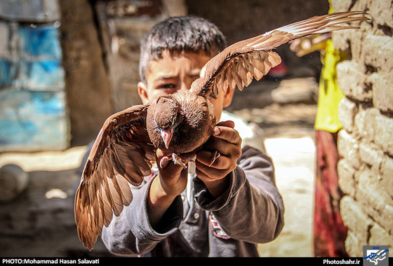 همین جا " بدون آبادی " | گزارش تصویری از روستای محروم کلاته سید | عکس : محمد حسن صلواتی / شهرآرا