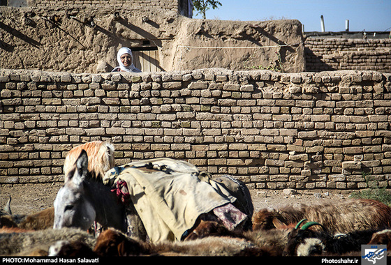 همین جا " بدون آبادی " | گزارش تصویری از روستای محروم کلاته سید | عکس : محمد حسن صلواتی / شهرآرا