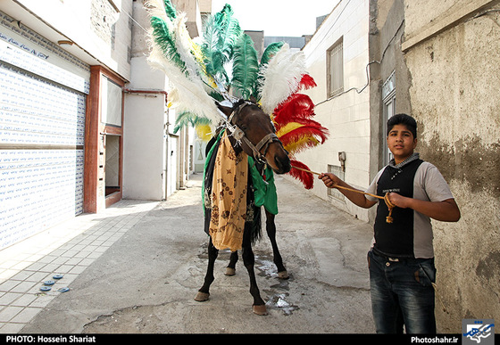 گزارش تصویری | کاروان اعلان ماه محرم در مشهد | عکس : حسین شریعت /شهرآرا