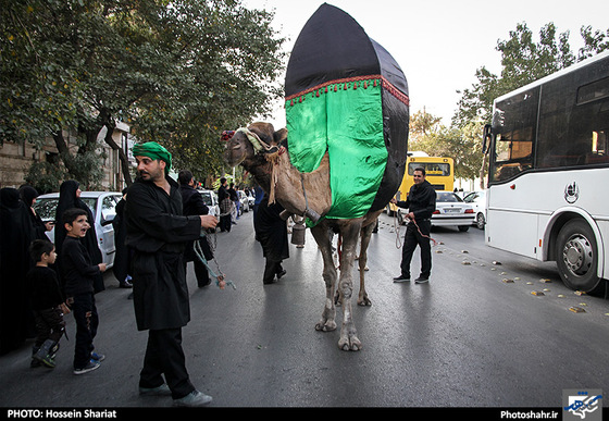 گزارش تصویری | کاروان اعلان ماه محرم در مشهد | عکس : حسین شریعت /شهرآرا