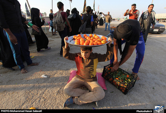 گزارش تصویری | الی طریق الکربلا(1) | عکاس : محمد حسن صلواتی /شهرآرا