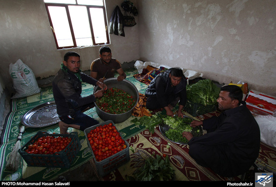 گزارش تصویری | موکب داران حسینی | عکاس : محمد حسن صلواتی /شهرآرا