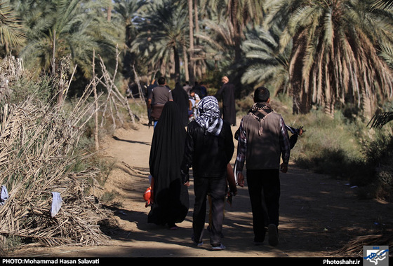 گزارش تصویری | طریق الی کربلا(2) | عکاس : محمد حسن صلواتی /شهرآرا