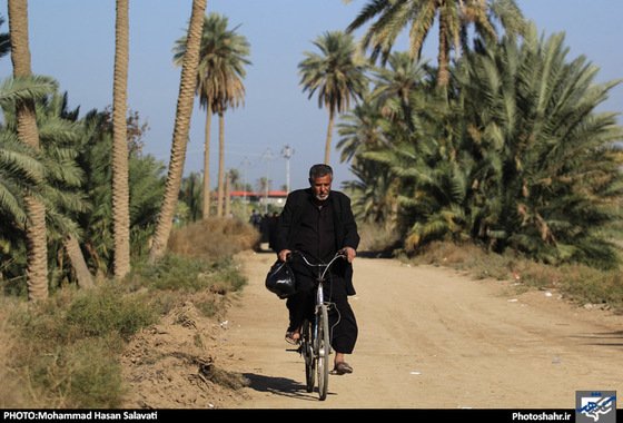 گزارش تصویری | طریق الی کربلا(2) | عکاس : محمد حسن صلواتی /شهرآرا