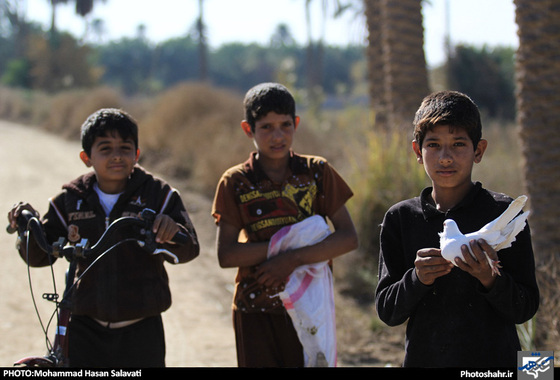 گزارش تصویری | طریق الی کربلا(2) | عکاس : محمد حسن صلواتی /شهرآرا