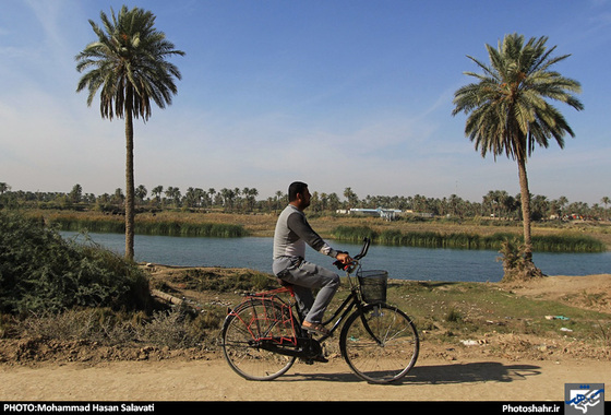گزارش تصویری | طریق الی کربلا(2) | عکاس : محمد حسن صلواتی /شهرآرا
