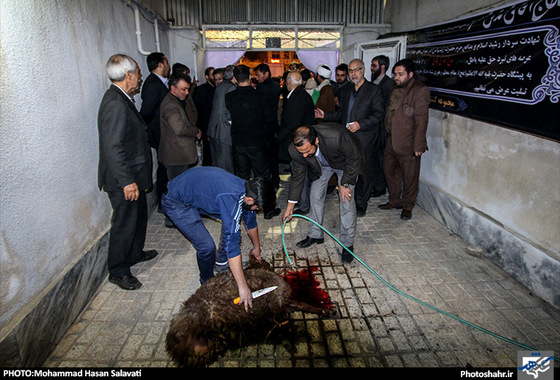 گزارش تصویری | روایت یک روز همراهی با پیکر شهید مدافع حرم جواد محمدی | عکس: محمد حسن صلواتی /شهرآرا