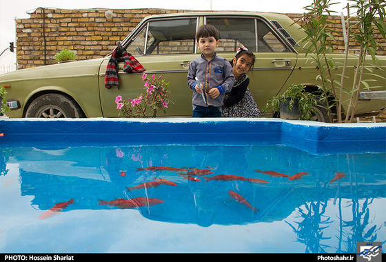 گزارش تصویری | المان های نوروزی در مشهد | عکس : حسین شریعت /شهرآرا