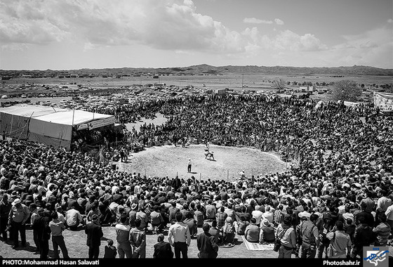 گزارش تصویری | مسابقات کشتی باچوخه در شهرستان فیروزه نیشابور | عکس : محمد حسن صلواتی / شهرآرا