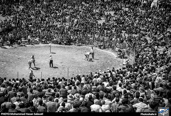 گزارش تصویری | مسابقات کشتی باچوخه در شهرستان فیروزه نیشابور | عکس : محمد حسن صلواتی / شهرآرا
