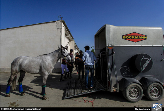 گزارش تصویری |  اولین دوره مسابقات پرش با اسب استان خراسان رضوی | عکس : محمد حسن صلواتی / شهرآرا
