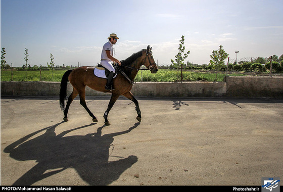 گزارش تصویری |  اولین دوره مسابقات پرش با اسب استان خراسان رضوی | عکس : محمد حسن صلواتی / شهرآرا