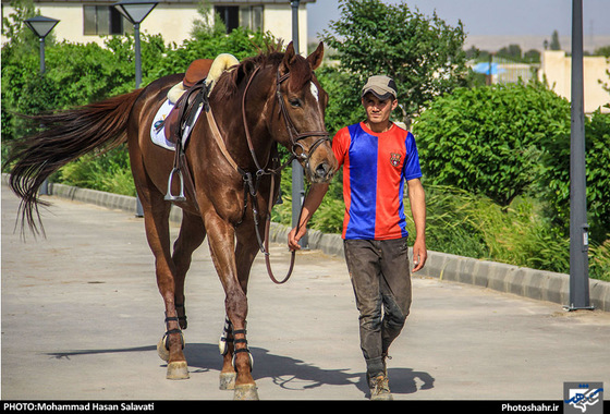 گزارش تصویری |  اولین دوره مسابقات پرش با اسب استان خراسان رضوی | عکس : محمد حسن صلواتی / شهرآرا