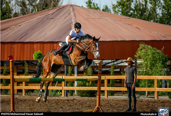 گزارش تصویری |  اولین دوره مسابقات پرش با اسب استان خراسان رضوی | عکس : محمد حسن صلواتی / شهرآرا