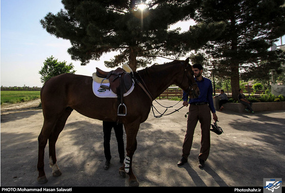 گزارش تصویری |  اولین دوره مسابقات پرش با اسب استان خراسان رضوی | عکس : محمد حسن صلواتی / شهرآرا