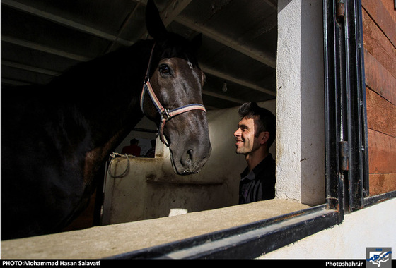 گزارش تصویری |  اولین دوره مسابقات پرش با اسب استان خراسان رضوی | عکس : محمد حسن صلواتی / شهرآرا