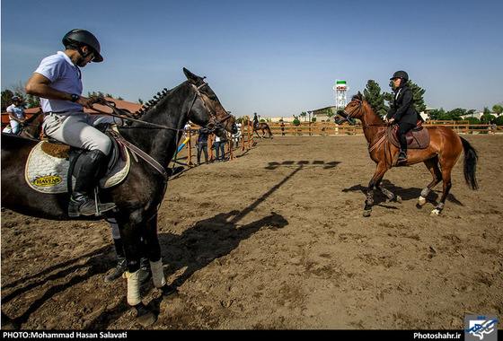 گزارش تصویری |  اولین دوره مسابقات پرش با اسب استان خراسان رضوی | عکس : محمد حسن صلواتی / شهرآرا