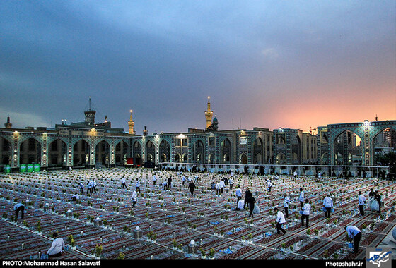 گزارش تصویری | ضیافت افطار در حرم امام رضا علیه السلام | عکاس : محمد حسن صلواتی | شهرآرا