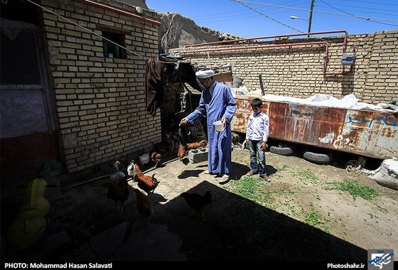 آقای بهادری جهت سرگرم کردن فرزندانش در خانه تعدادی مرغ و خروس را نگهداری می کند و گاهی هم از گوشت و تخم مرغ آنها استفاده می کنند.