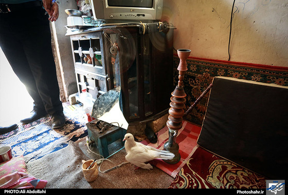 گزارش تصویری | دستگیری فروشندگان مواد مخدر در حاشیه شهر | عکاس : علی عبداللهی /شهرآرا