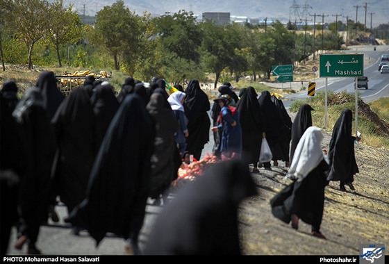 گزارش تصویری | زائران پیاده در مسیر حرم امام رئوف | عکاس: محمد حسن صلواتی /شهرآرا