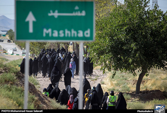 گزارش تصویری | زائران پیاده در مسیر حرم امام رئوف | عکاس: محمد حسن صلواتی /شهرآرا