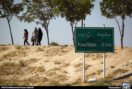 گزارش تصویری | زائران پیاده در مسیر حرم امام رئوف | عکاس: محمد حسن صلواتی /شهرآرا