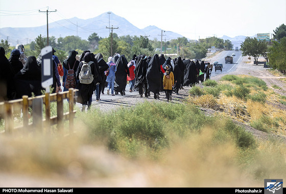 گزارش تصویری | زائران پیاده در مسیر حرم امام رئوف | عکاس: محمد حسن صلواتی /شهرآرا
