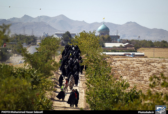 گزارش تصویری | زائران پیاده در مسیر حرم امام رئوف | عکاس: محمد حسن صلواتی /شهرآرا