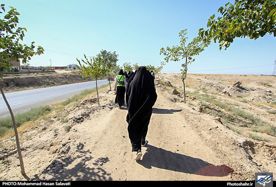 گزارش تصویری | زائران پیاده در مسیر حرم امام رئوف | عکاس: محمد حسن صلواتی /شهرآرا
