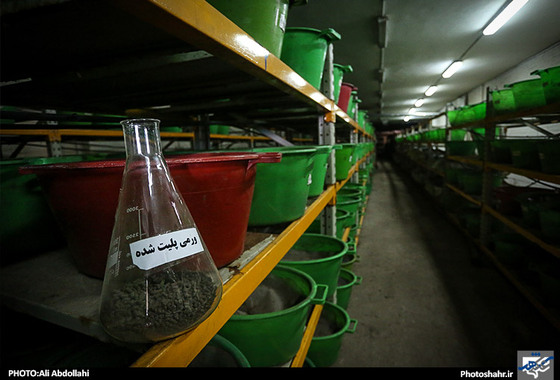 گزارش تصویری | کارخانه بازیافت و کمپوست مشهد | عکاس : علی عبداللهی /شهرآرا