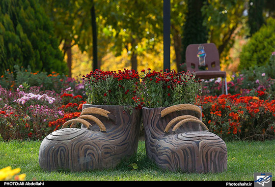 گلهای داودی مشهد
علی عبدالهی شهرارا