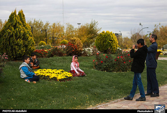 گلهای داودی مشهد
علی عبدالهی شهرارا