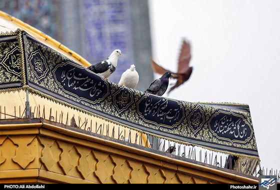 آیین بدرقه زائران و خادمان اربعین حسینی مشهد حرم امام رضا (ع) علی عبدالهی شهرارا